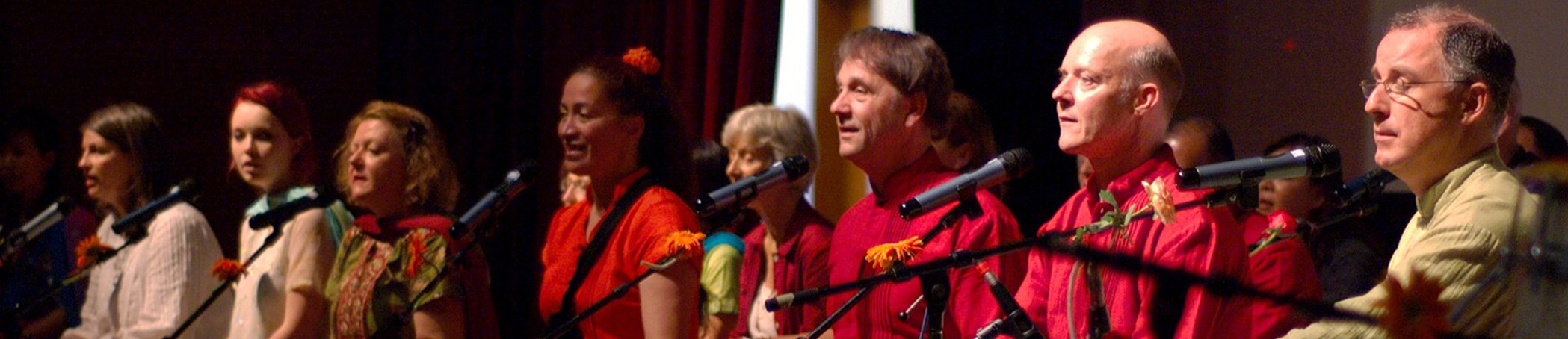 Author: <span></span>