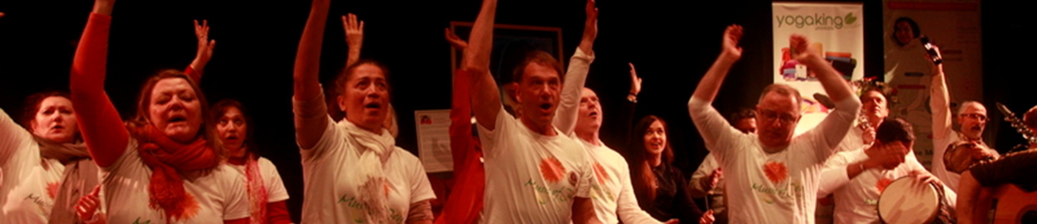 Author: <span></span>