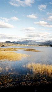 SOCIAL MEDIA - 9:16 Landscape, Geehi